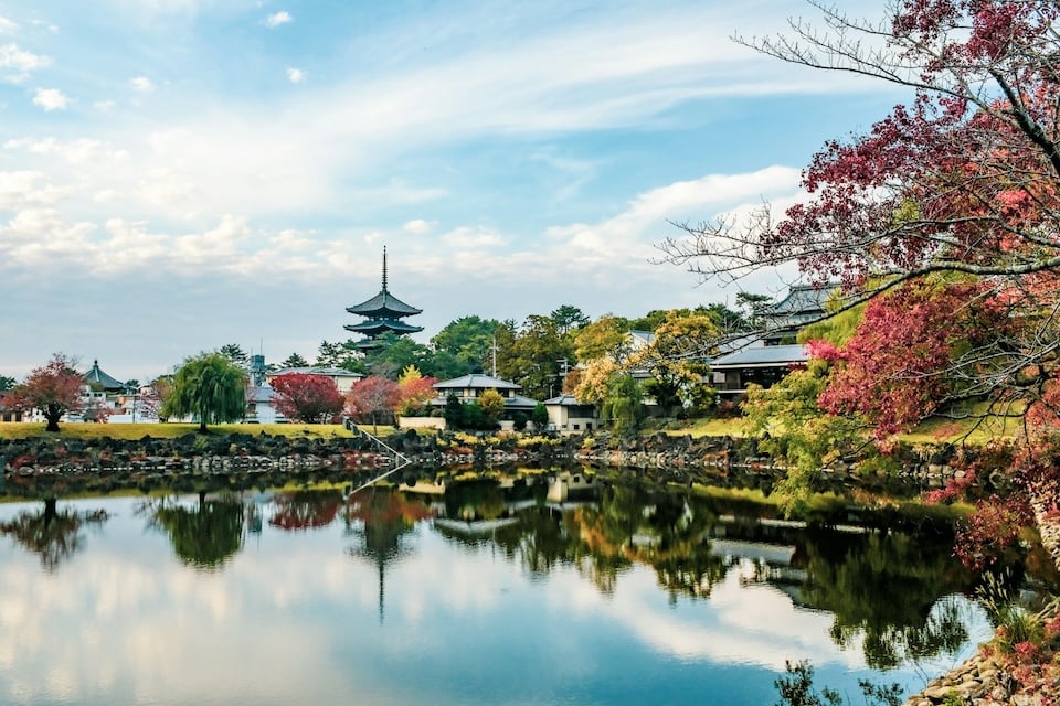 Sacred Stillness in Nara