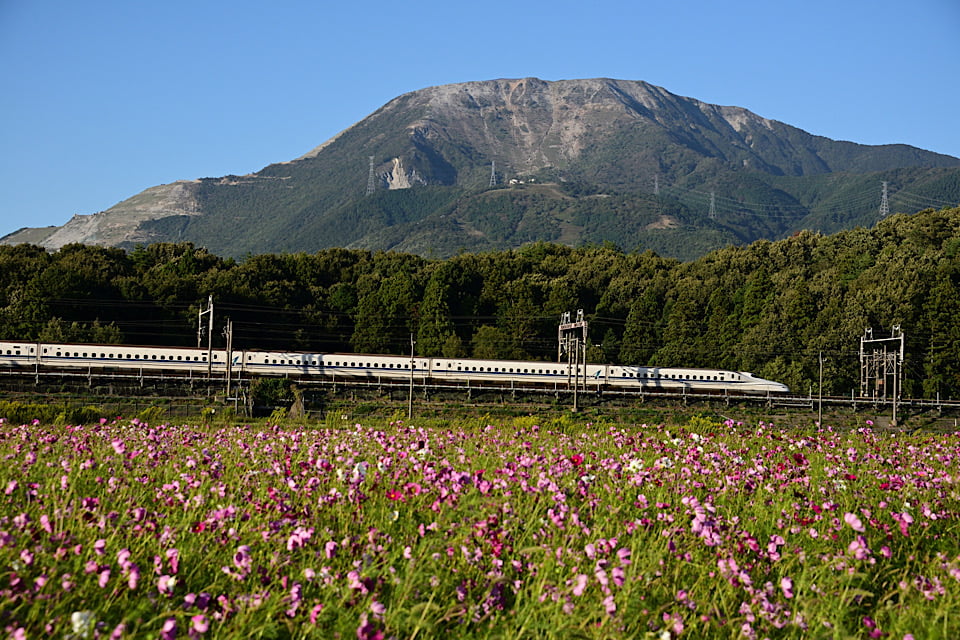 japan-subculture_beautiful season