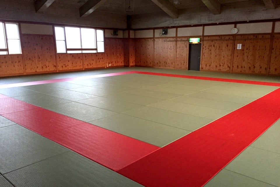 Core Philosophy of Judo: Efficiency and Mutual Growth