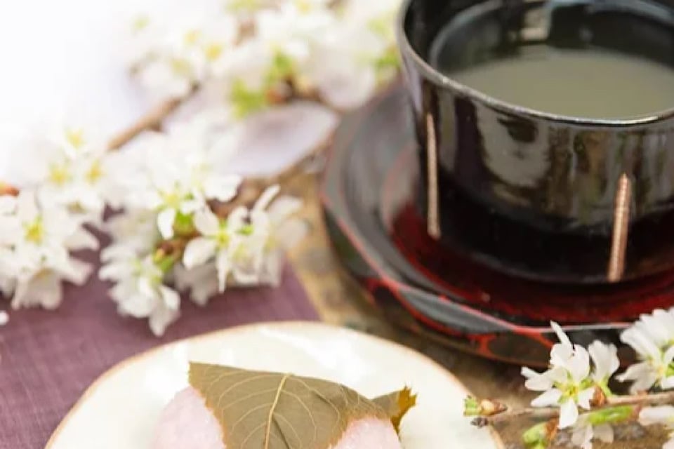 茶道体験：花と抹茶