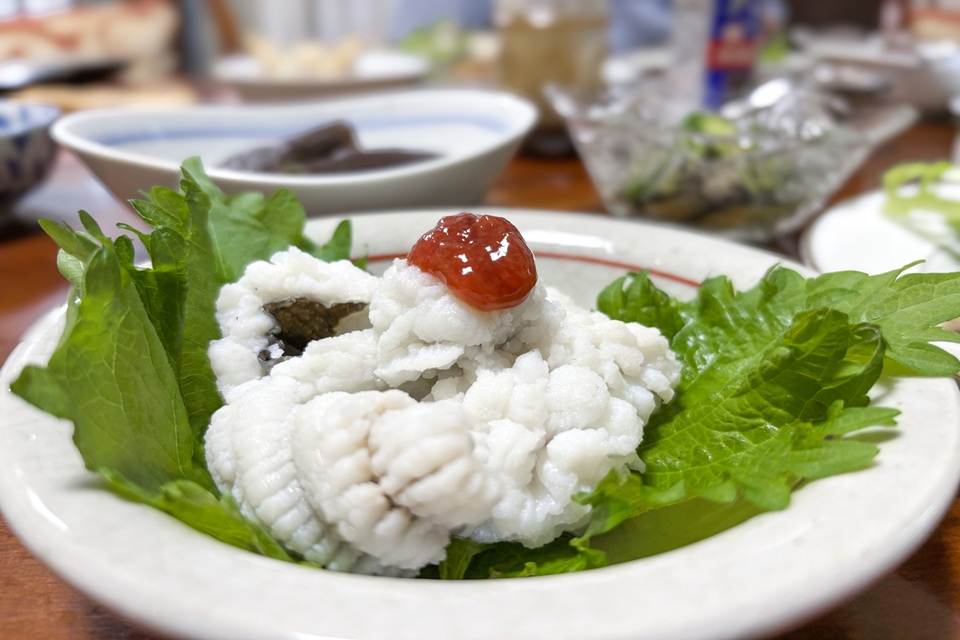 Hamo – Kyoto’s Famous Summer Delicacy