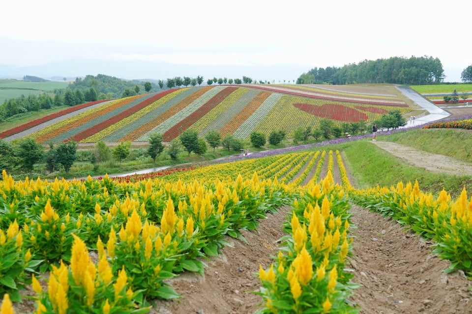 Biei Hokkaido