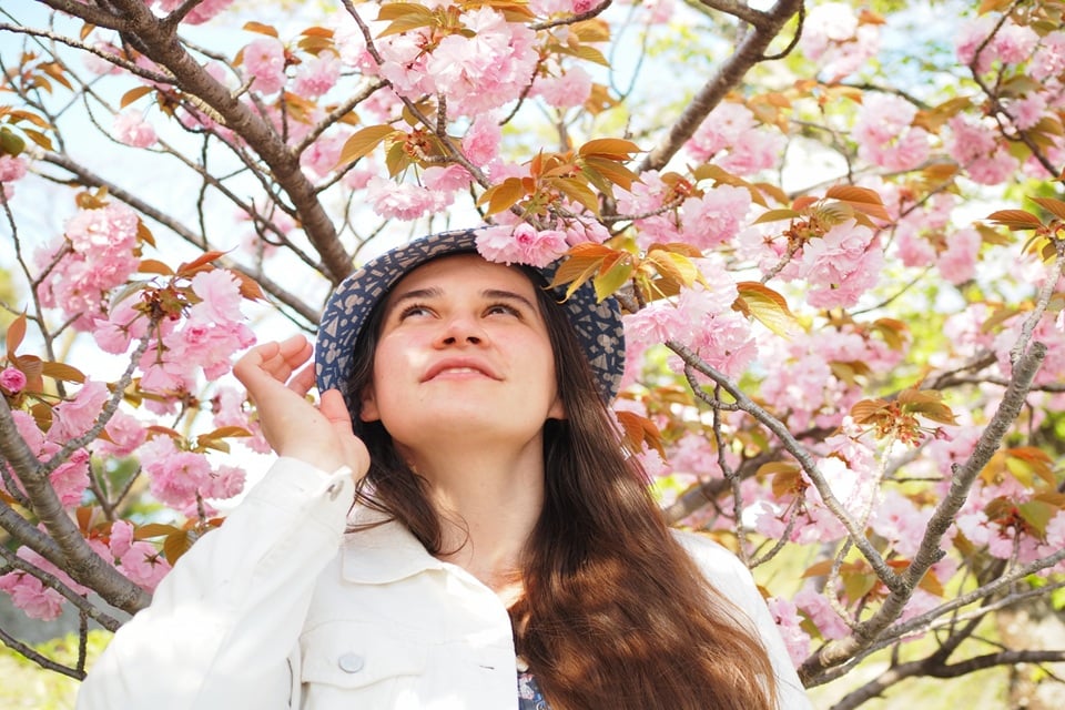 How to Guarantee Seeing Sakura in Japan With Confidence