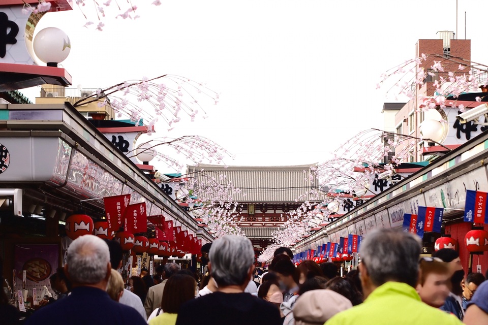 Why Sakura Travel Requires Cultural Experience Designers