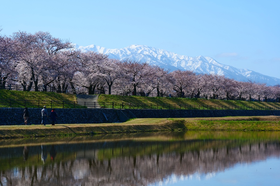 Frequently Asked Questions About Cherry Blossom Japan Season