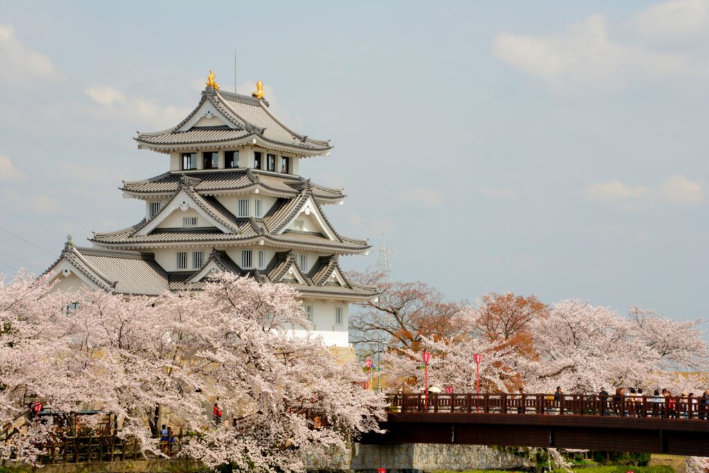 Best Time for Cherry Blossom Japan: How Bloom Timing Really Works