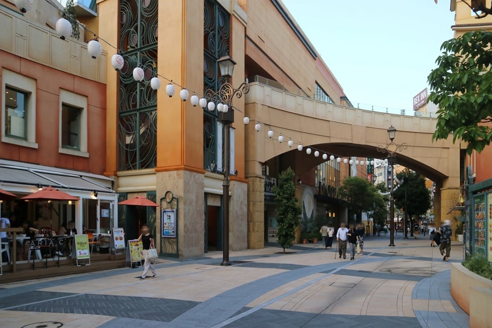 Growth of the VVIP Market and Emerging Facilities