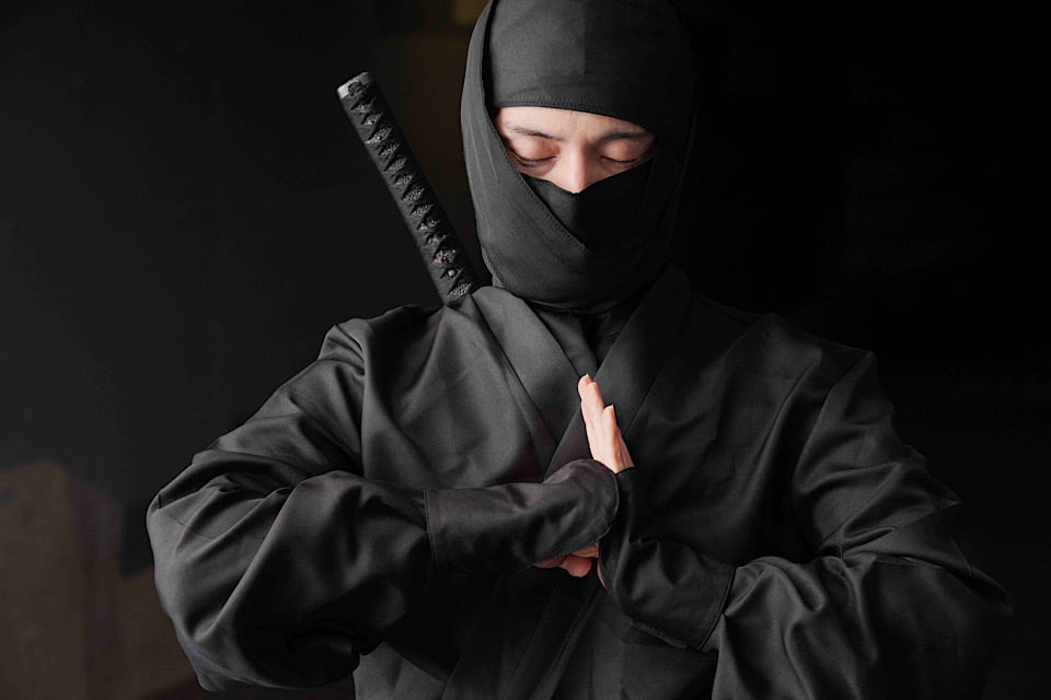 kabuki:ninjya secret 