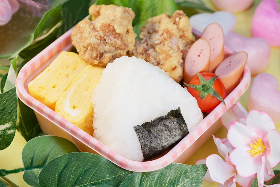 Cherry Blossoms with bento