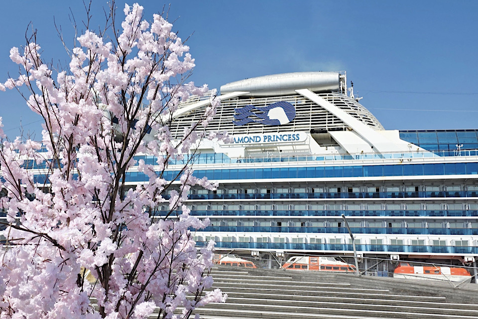Cherry Blossoms cruise