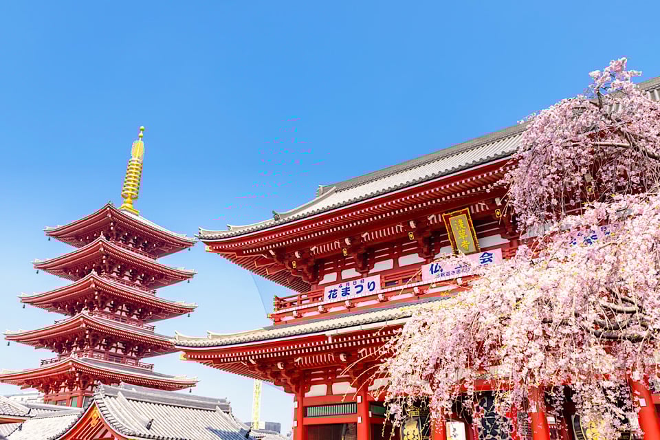  President's Club Trip -japan trip 