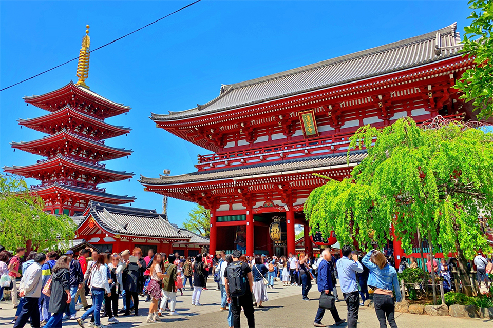 Traditional Japanese cultural experience in Tokyo for incentive travel participants