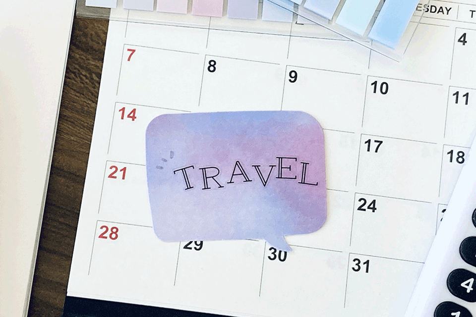Timeline and planning process for organizing an incentive trip to Japan