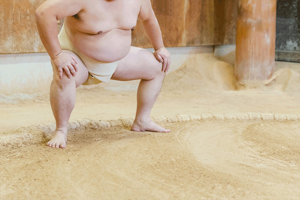 Sumo experience as a unique incentive trip activity in Japan