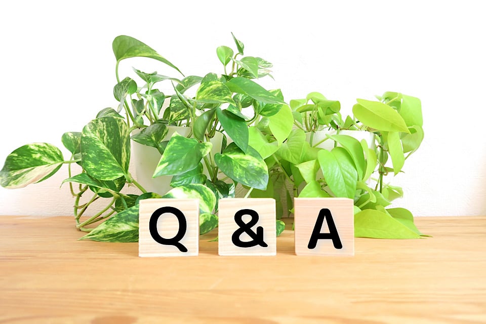 Corporate Event Planner question