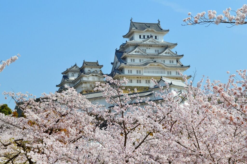Himeji Castle during cherry blossom season for incentive travel in Japan